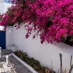 Olive Tree & Capari Homes & With Pool! Casa vacanze