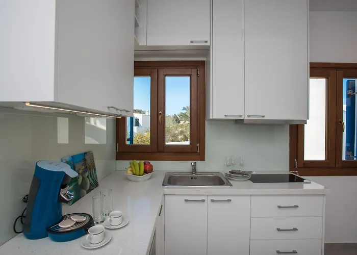 Olive Tree & Capari Homes & With Pool! Casa vacanze Mykonos Town