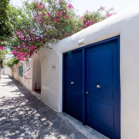 Olive Tree & Capari Homes & With Pool!