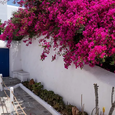 Olive Tree & Capari Homes & With Pool! 펜션