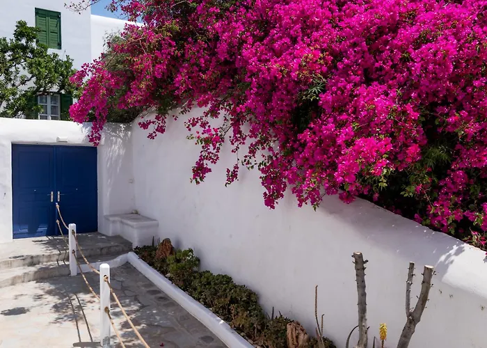 Olive Tree & Capari Homes & With Pool! Дом отдыха